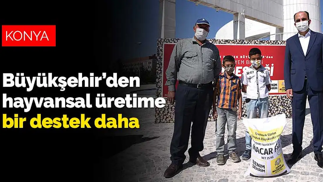 Konya Büyükşehir'den hayvansal üretime bir destek daha