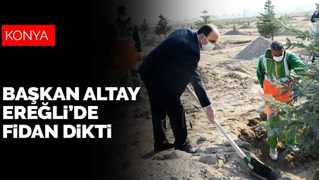 Konya Büyükşehir Belediye Başkanı Altay, Ereğli'de fidan dikti