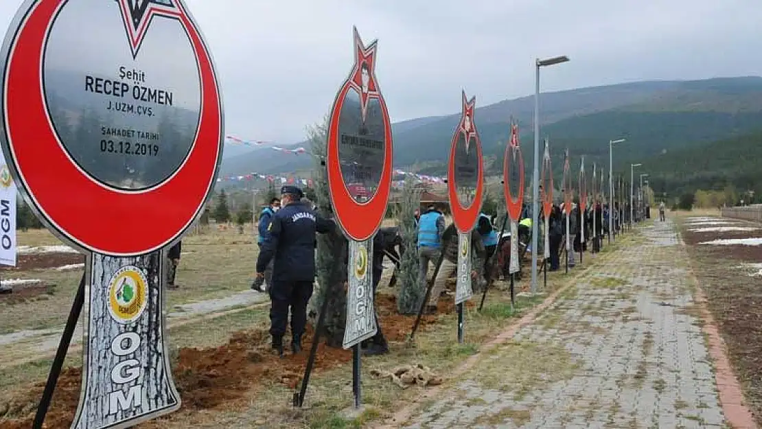 Konya Akşehir'de 54 şehit için 54 fidan dikildi