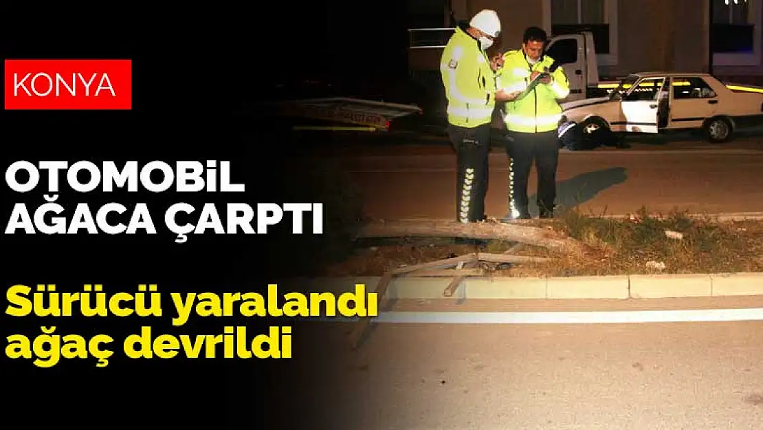 Konya'da ağaca çarpan otomobilin sürücüsü yaralandı