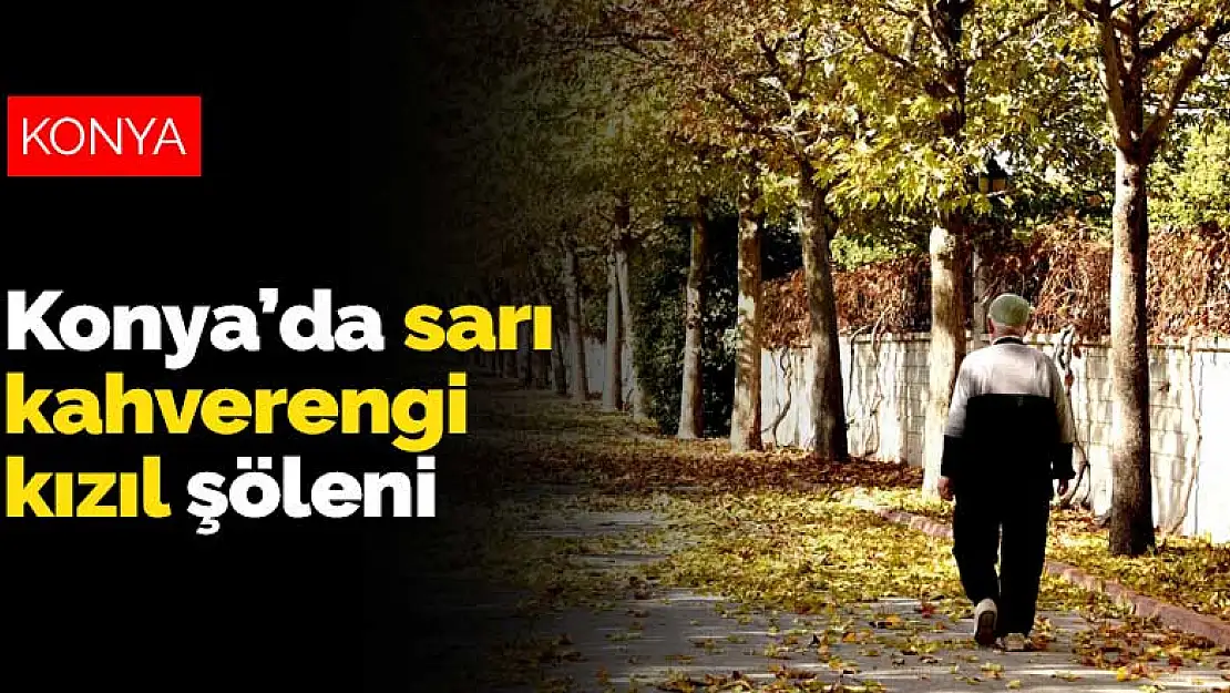 Konya'da sarı, kahverengi ve kızıl şöleni