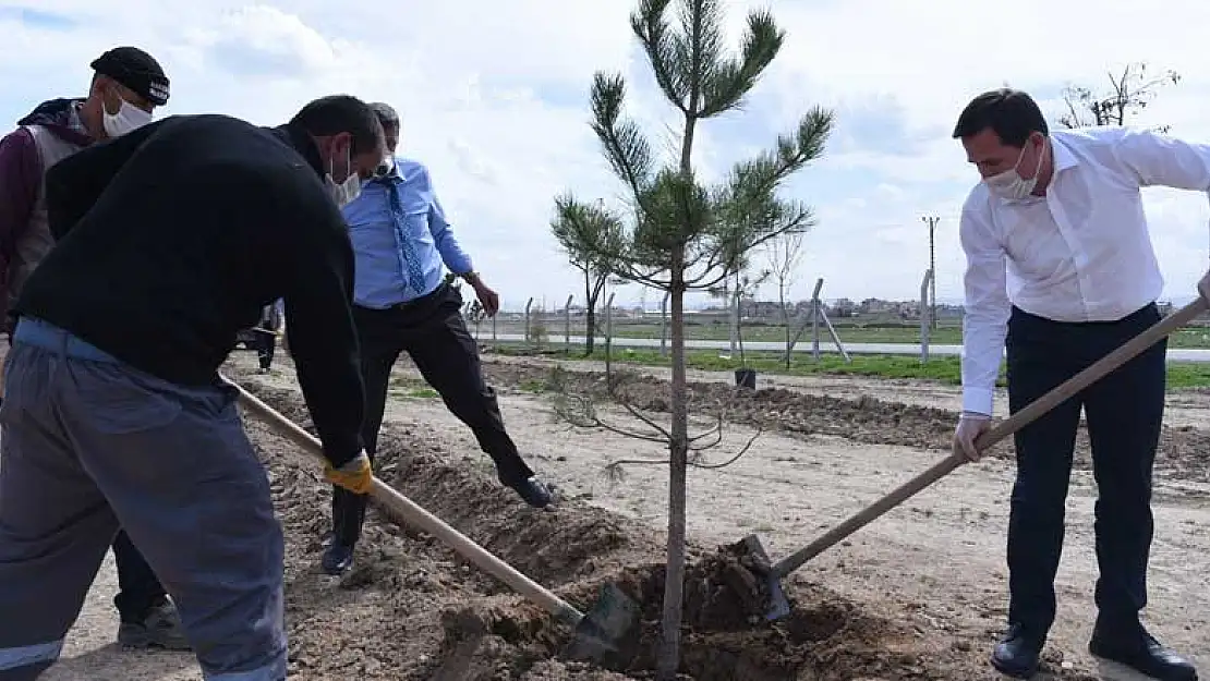 Konya'da yeşil seferberliği hız kesmeden devam edecek