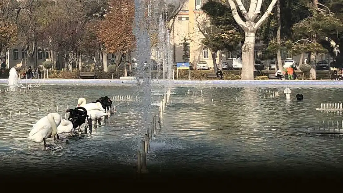 Konya'da bu nasıl Aralık dedirten hava! Güneşli havada gezerken yağış duası ettiler