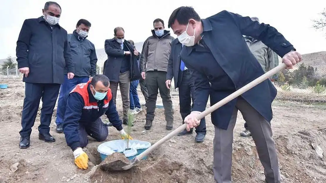 Konya'da bir ilk! Sulamaya ihtiyaç duymayan bin fidan toprakla buluşturuldu