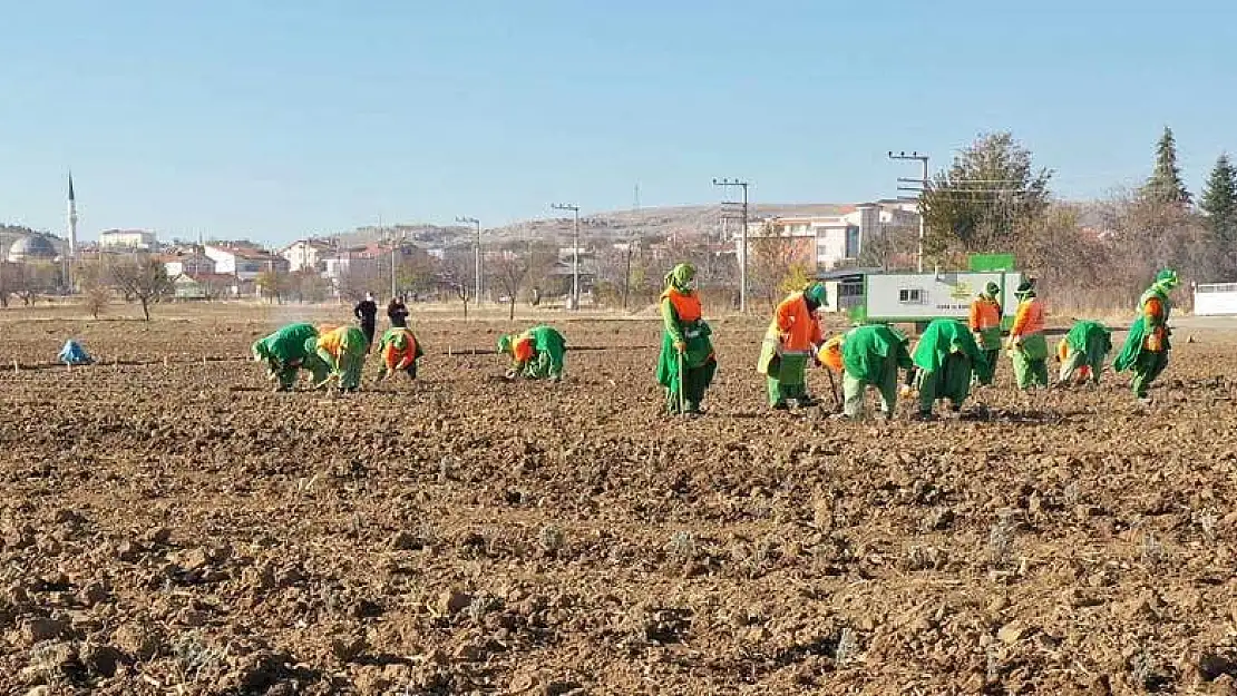 Konya'nın yeşilli ablaları yeni bir ürün peşinde