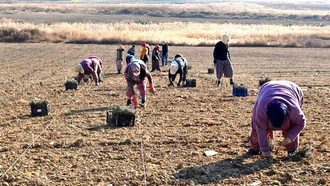 Konya'nın başlattığı akım tüm Türkiye'ye yayılıyor