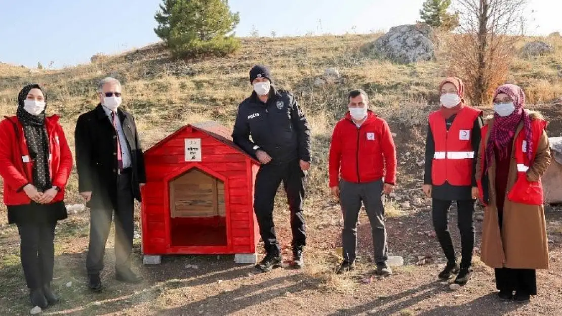 Meram'a yeni kedi, köpek ve kuş evleri kazandırılıyor