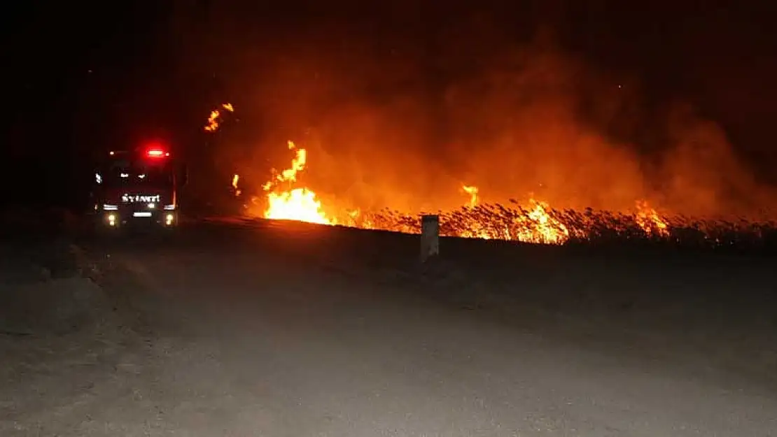 Konya'da Beyşehir Gölü Milli Parkı'nda sazlık yangını