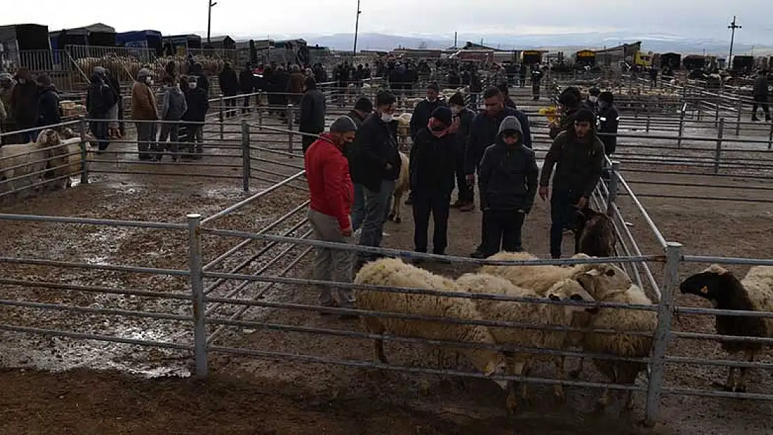 Konya'da şap hastalığı nedeniyle hayvan pazarında uygulanan karantina kaldırıldı