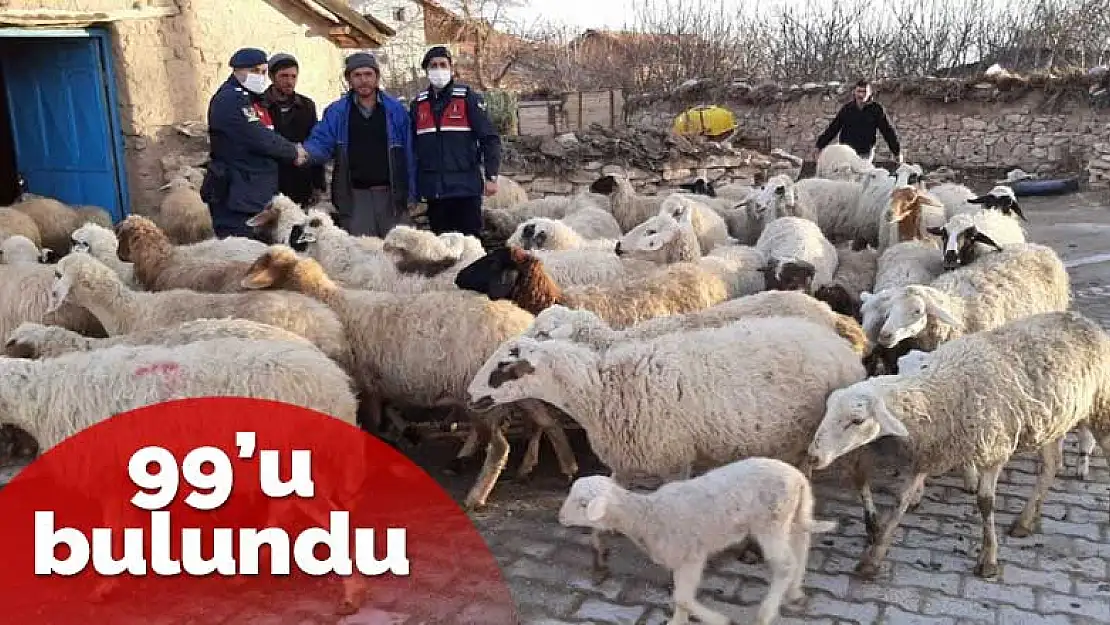 Konya'da çalınan 124 küçükbaş hayvandan 99'u sahibine teslim edildi