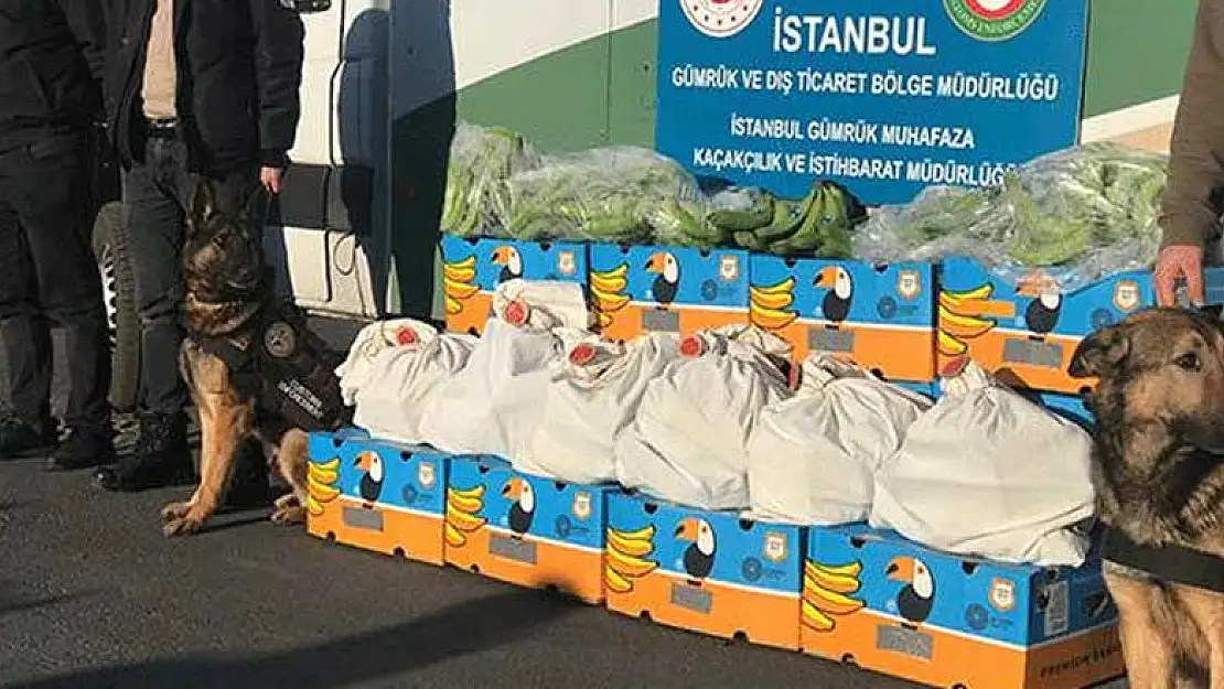 Güney Amerika'dan gelen konteynerlerde 65 milyon liralık uyuşturucu çıktı