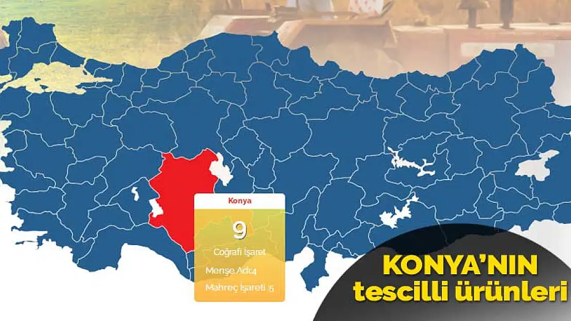 Konya en çok başvuru yapan 2'nci il oldu! Tandır kebabı Akşehir'in oldu