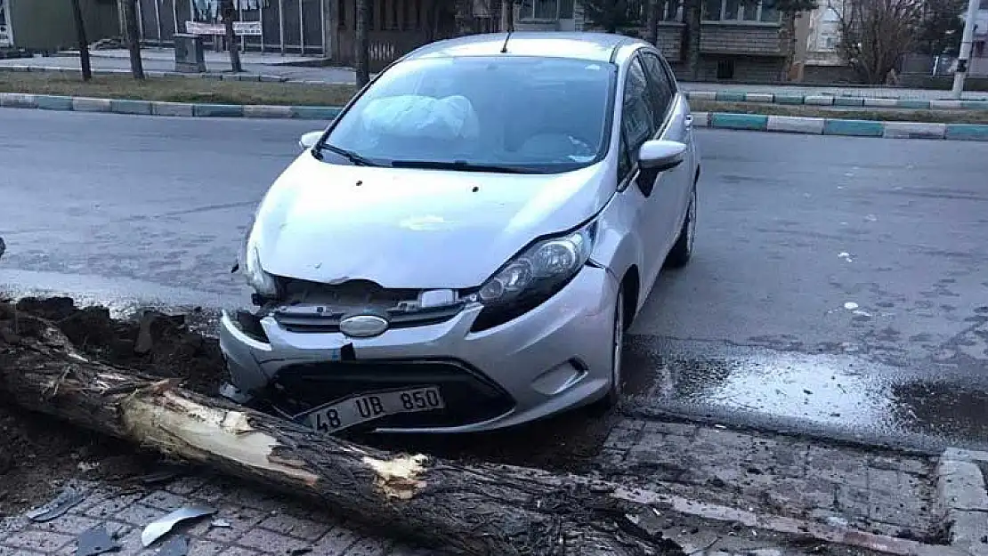 Kaldırımdaki ağaca çarpan otomobilin sürücüsü yaralandı