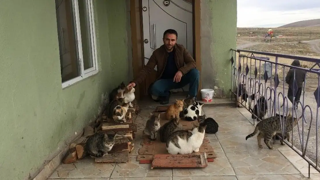 30 kedi besleyen hayvansever çift onların karnını doyurmadan yemek yemiyor