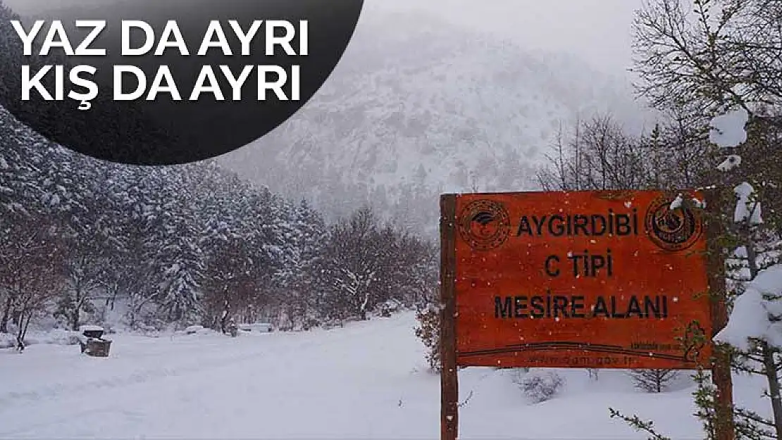 Konya'daki Aygırdibi Mesire Alanı yazın ayrı kışın ayrı güzel