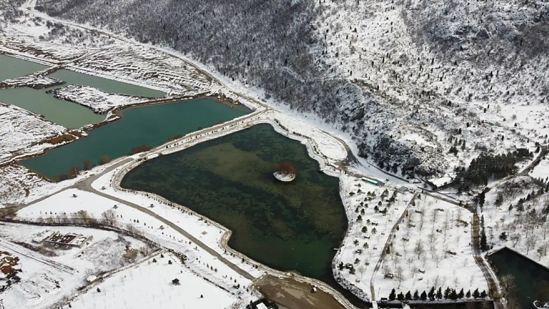 Toroslar'daki Kuğulu Park'ta kısıtlama sessizliği