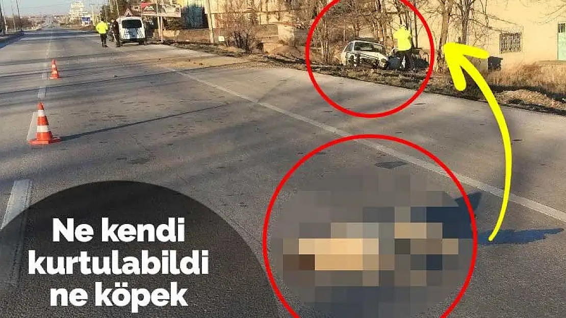 Konya'da günün kahramanı kendini de feda etti