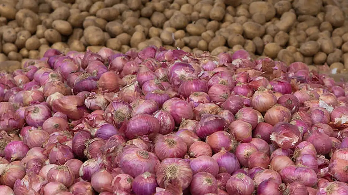 Salgın döneminde patates ve kuru soğanın üretimi arttı