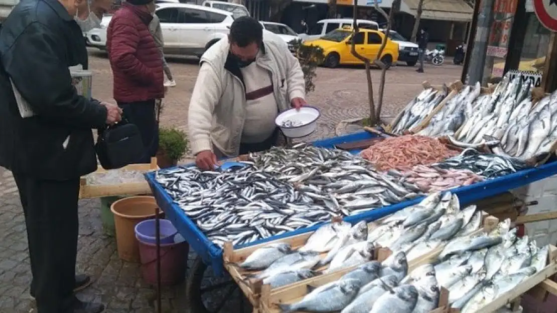 Balık fiyatları yine el yakıyor! Hamsinin kilosu 50 liraya çıktı