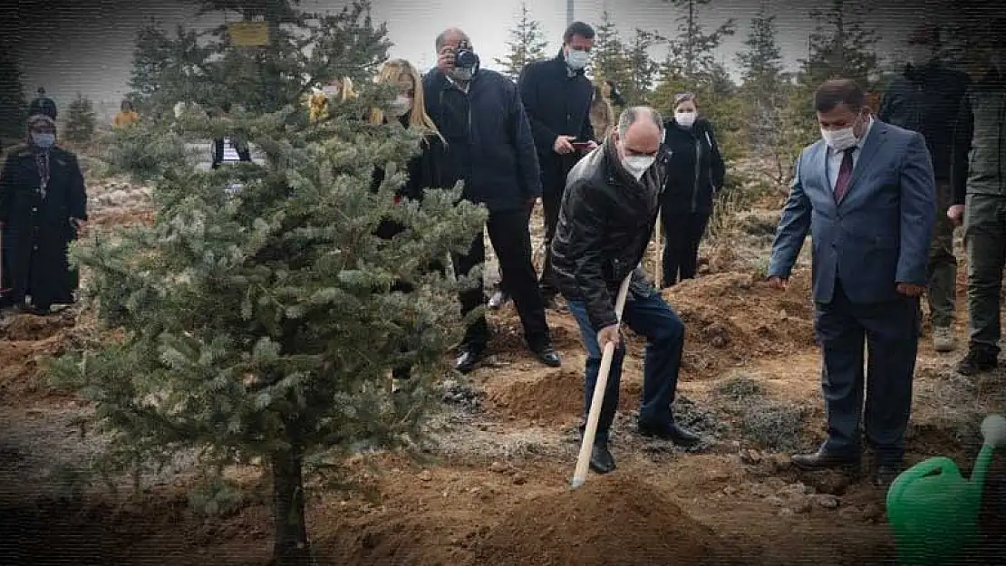 8 Mart Dünya Kadınlar Günü'nde Akyokuş'a fidan dikildi