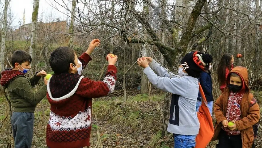 Konyalı minik öğrenciler ağaçlara elma asarak kuşlara hayat oluyor