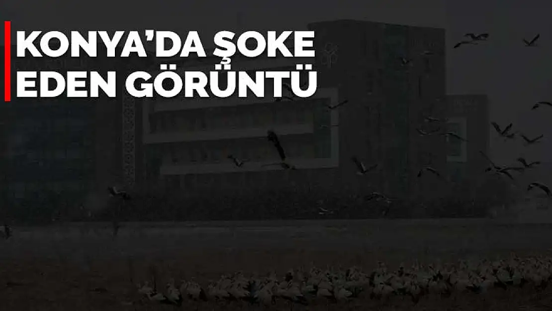 Konya'da şoke eden görüntü! Kar yağınca inmek zorunda kaldılar