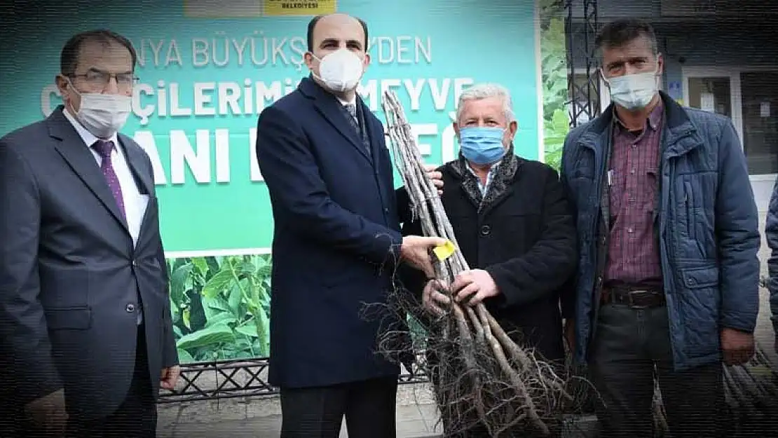 Hadimli çiftçilere sertifikalı ceviz fidanı dağıtıldı