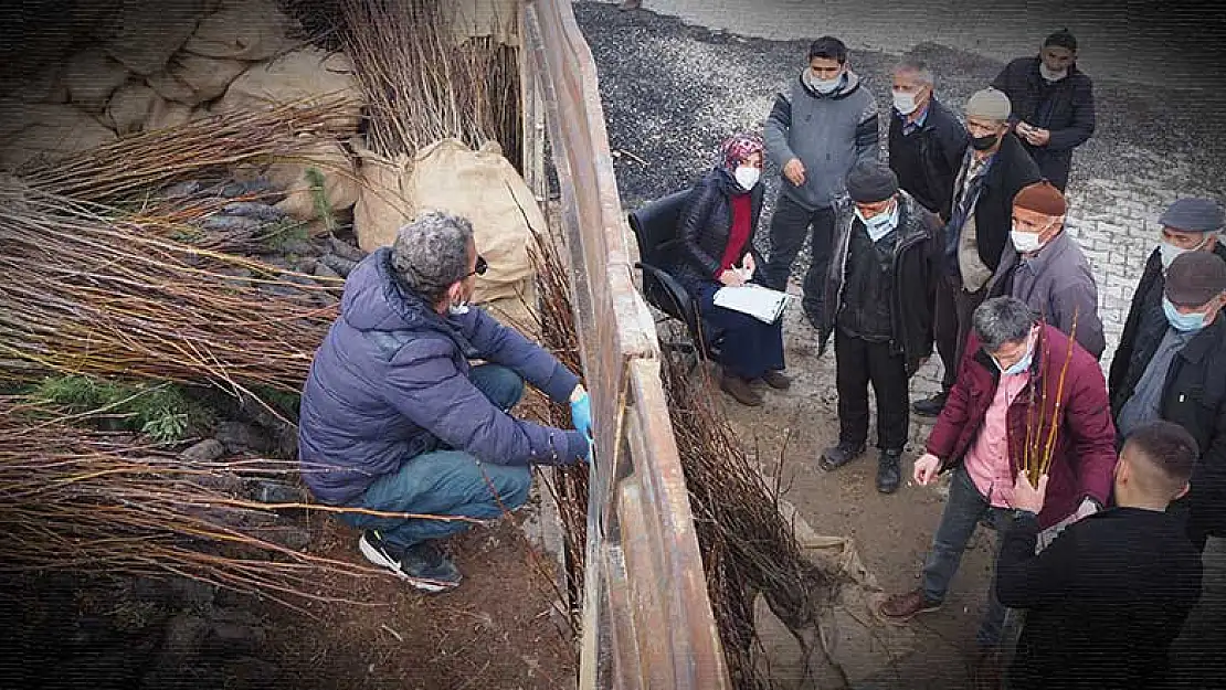 Bozkır'da ücretsiz 8 bin 500 fidan dağıtıldı