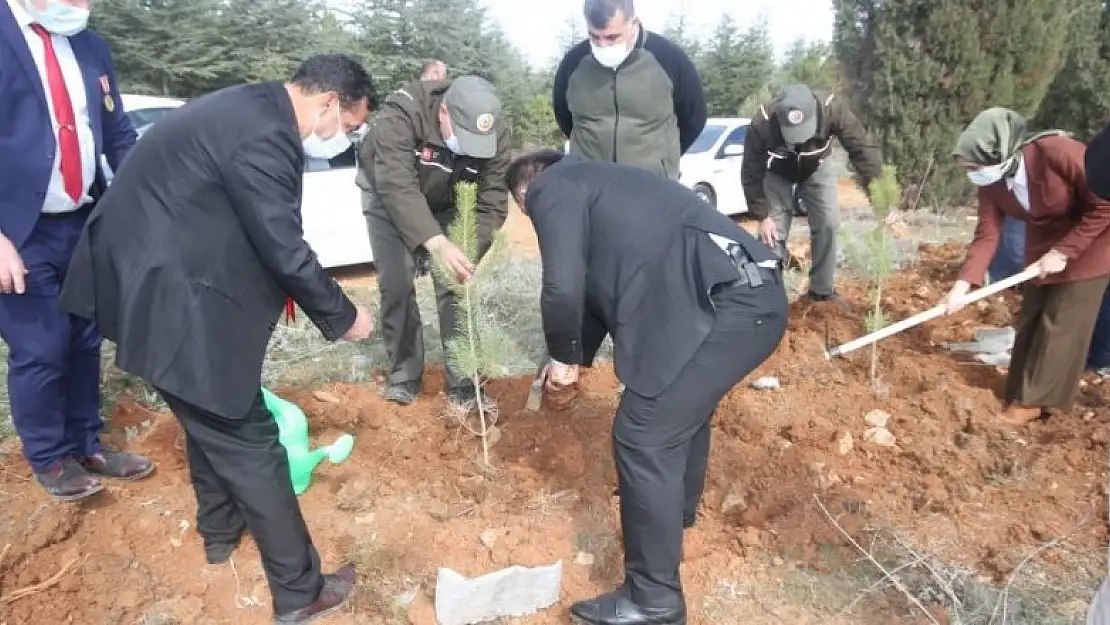 Beyşehir'de şehitler ve gaziler için orman fidanları toprakla buluşturuldu