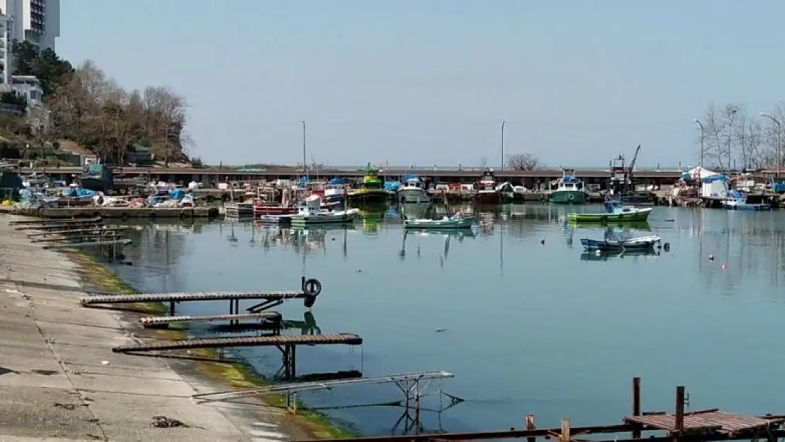 Karadeniz'de balıkçılar sezonu erken bitirdi