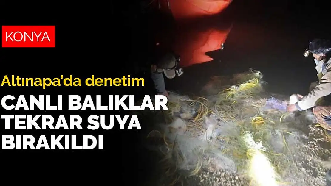 Altınapa'da yasa dışı av denetimi! Ağlara takılan canlı balıklar tekrar suya bırakıldı