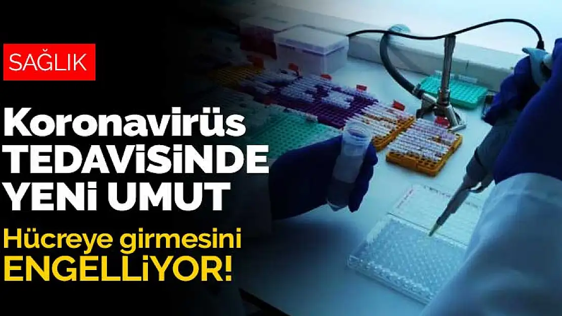 Koronavirüs tedavisinde yeni umut! Virüsün hücreye girmesini engelliyor