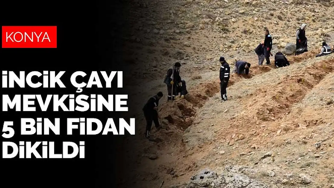 Selçuklu İncik Çayı mevkisinde 5 bin fidan toprakla buluştu