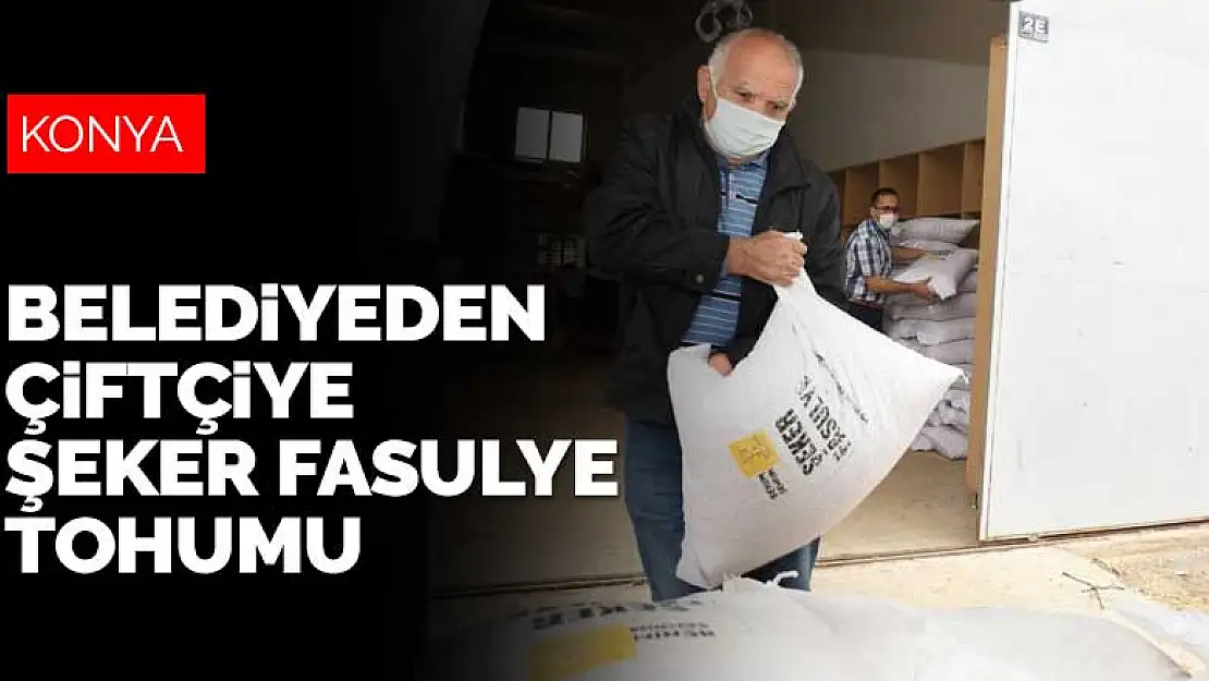 Konya Büyükşehir Belediyesi'nden çiftçiye yerli şeker fasulye tohumu