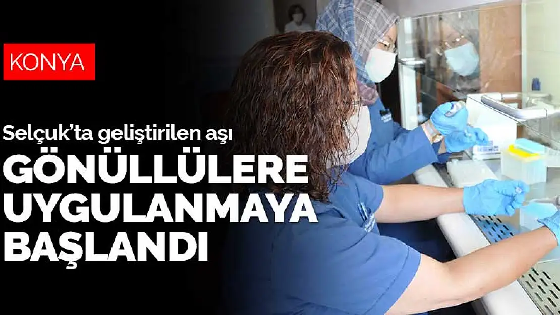 Selçuk Üniversitesi'nde geliştirilen aşı gönüllülere uygulanmaya başlandı