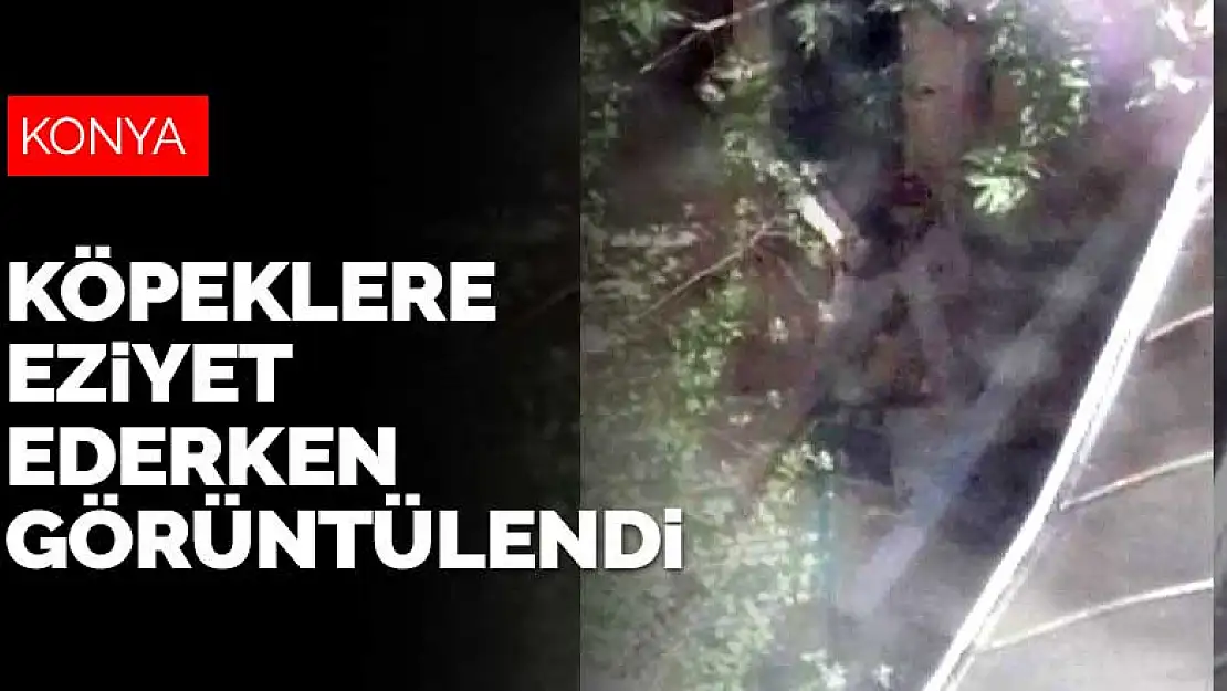 Konya'da kendisine ait köpeklere eziyet eden kadın böyle görüntülendi! Köpekler koruma altına alındı