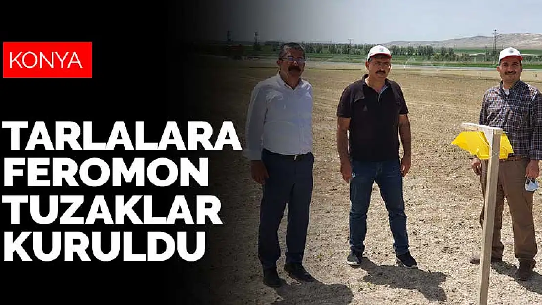 Konya'da tarla zararlılarına karşı mücadele devam ediyor