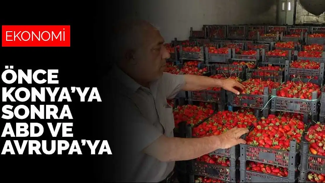 Batman'dan Konya'ya, Konya'dan ABD ve Avrupa'ya