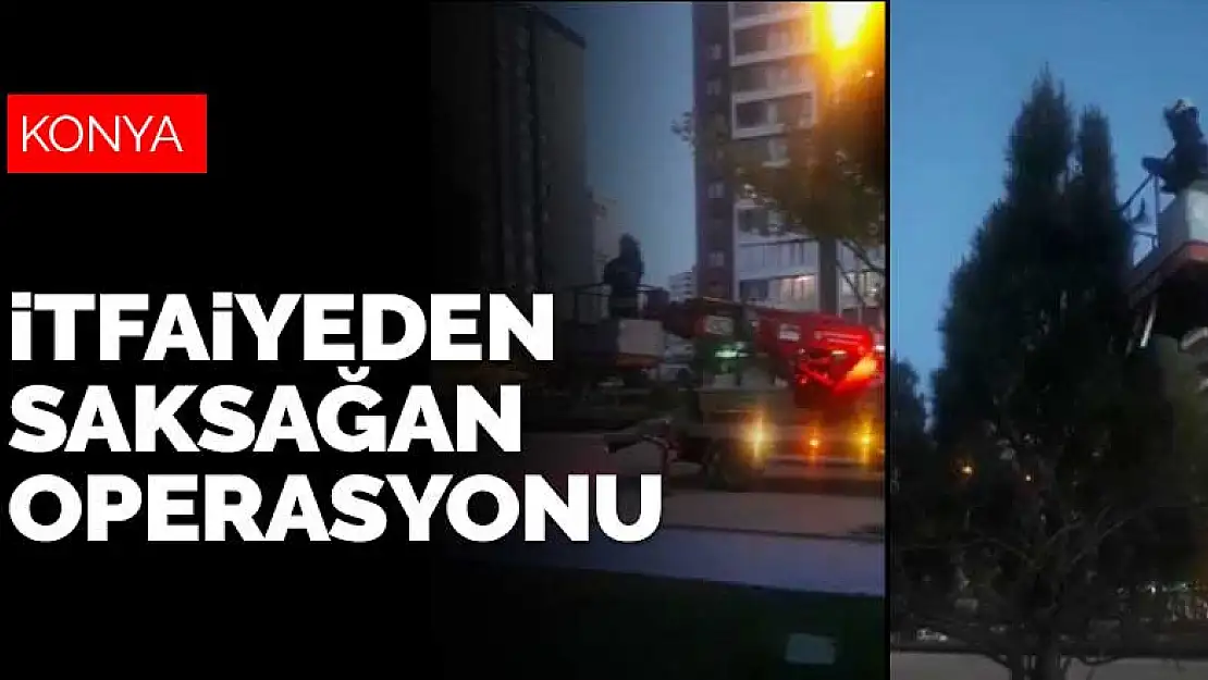 Konya itfaiyesinden yavru saksağan operasyonu