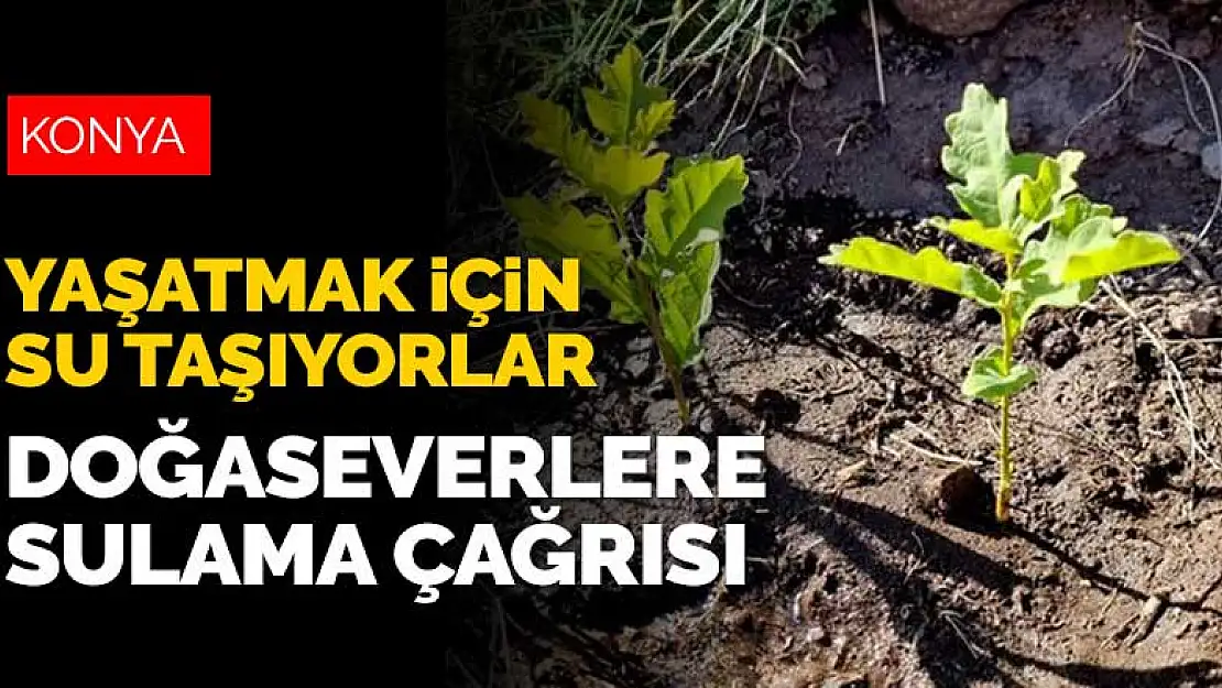 Konyalı doğaseverlere sulama çağrısı! Takkeli Dağ'a her gün 100 litre su taşıyorlar