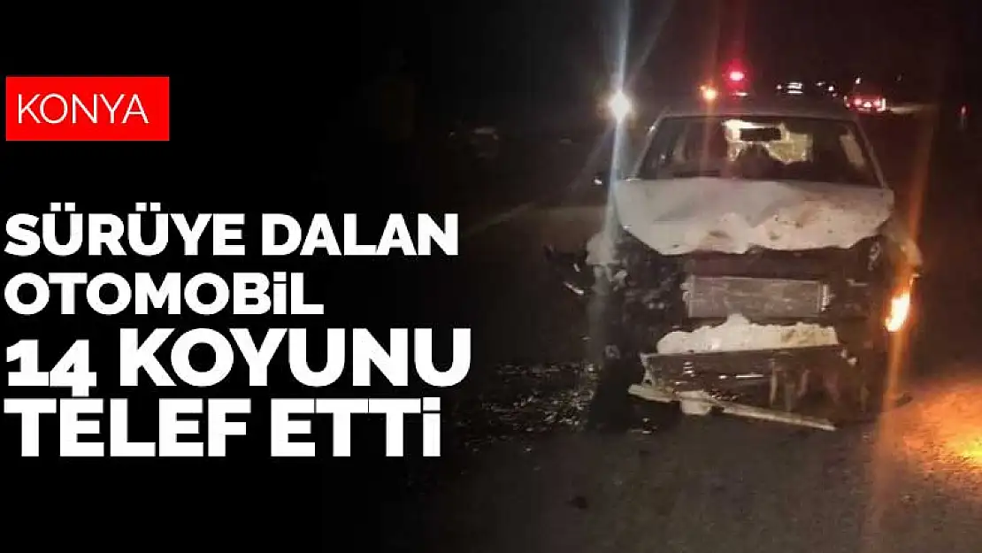 Konya'da sürüye dalan otomobil, 14 koyunu telef etti