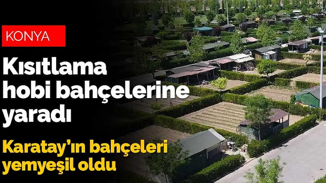 Kısıtlamalar hobi bahçelerine yaradı! Karatay hobi bahçeleri yeşeriyor