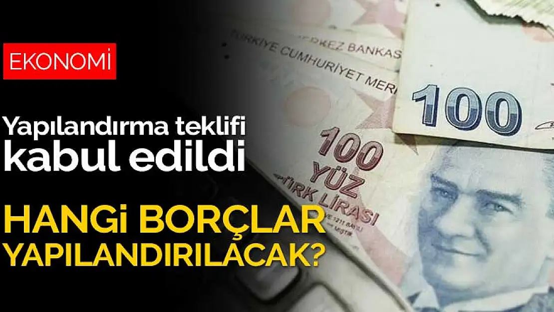 Borç yapılandırması teklifi kabul edildi! Hangi borçlar yapılandırılacak?