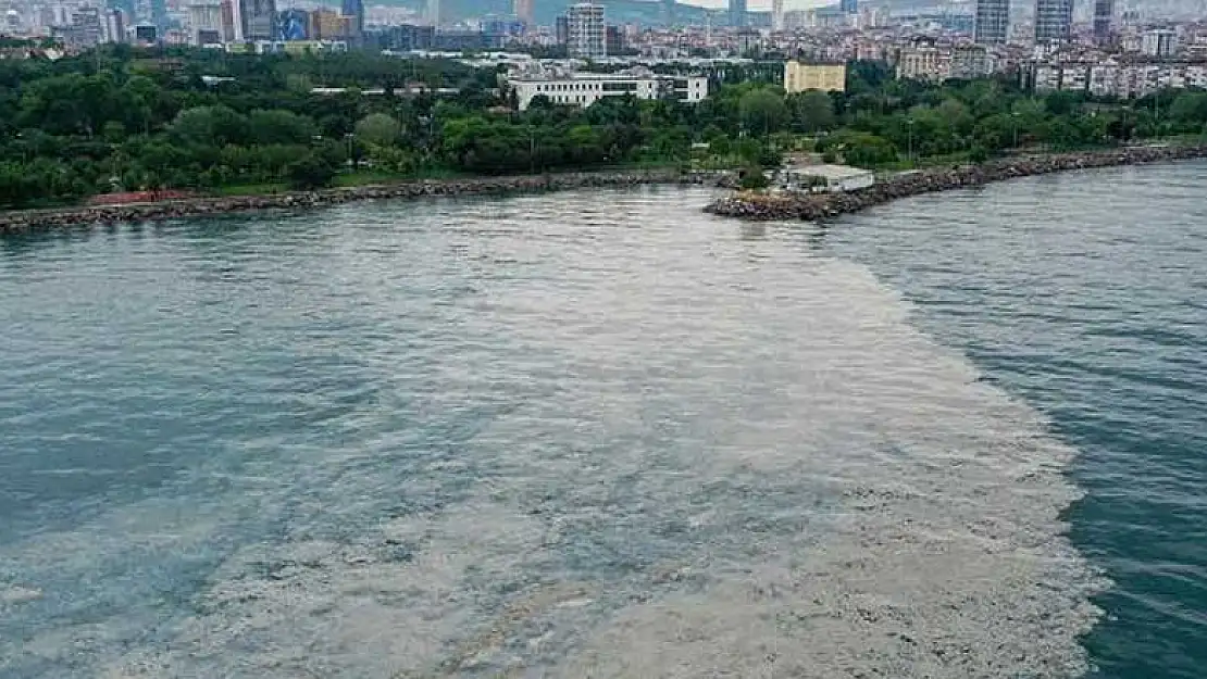 Deniz salyası sorunu giderek büyüyor! Marmara'nın mavi suları tehdit altında