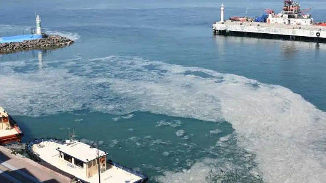 Marmara'daki müsilajla mücadele kapsamında en büyük deniz temizliği başlıyor