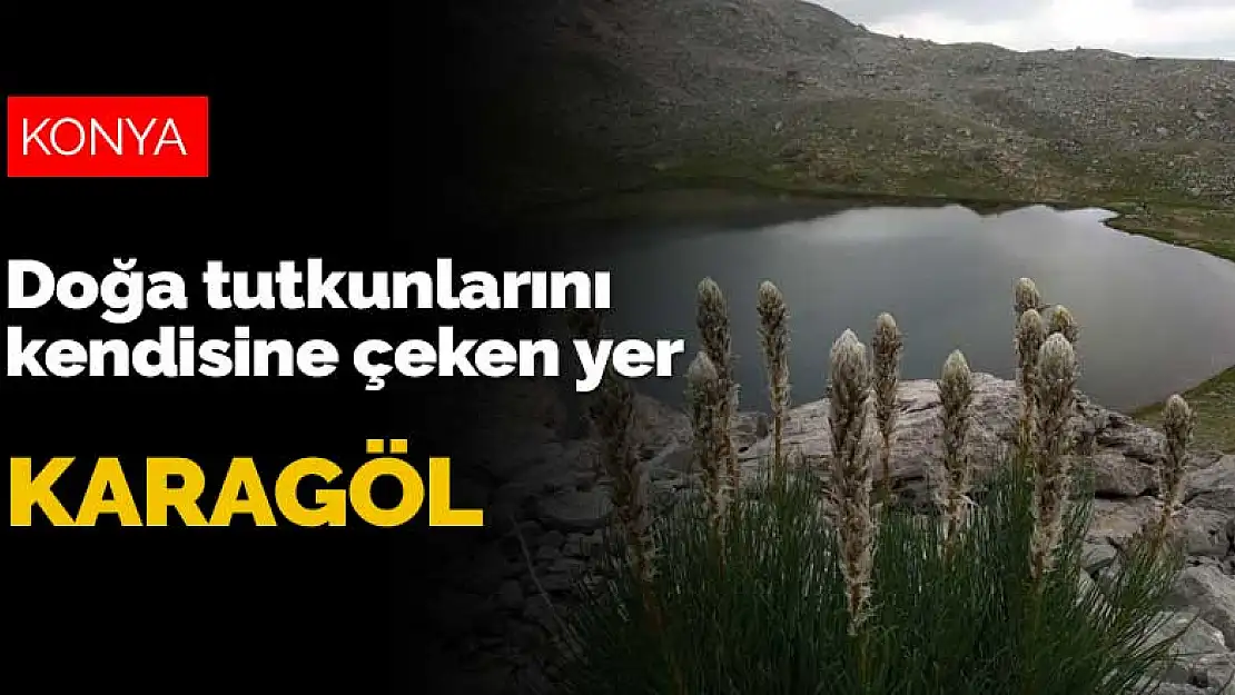 Beyşehir'de Anamas Dağı'nın eteklerindeki Karagöl, doğa tutkunlarını kendisine çekiyor