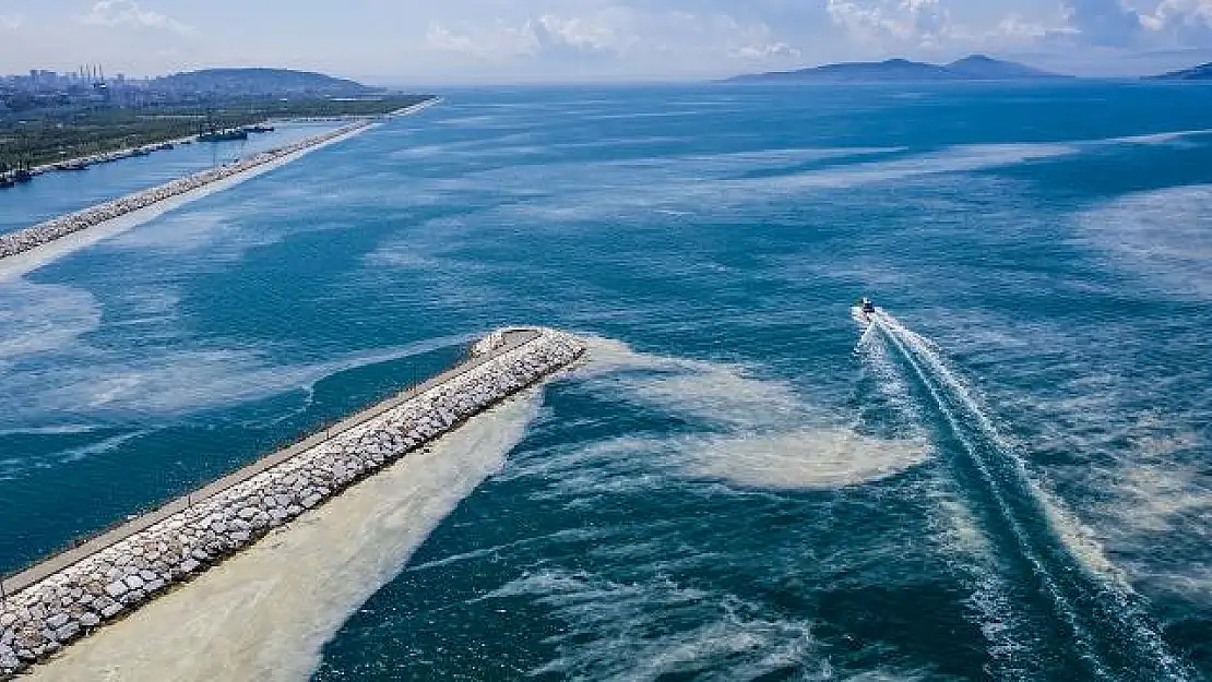 Bakan Kurum, müsilaj temizleme çalışmalarıyla ilgili son durumu aktardı