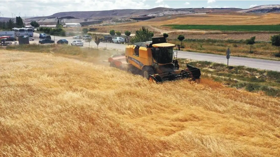 Konya işlenen tarım alanı zirvesinde