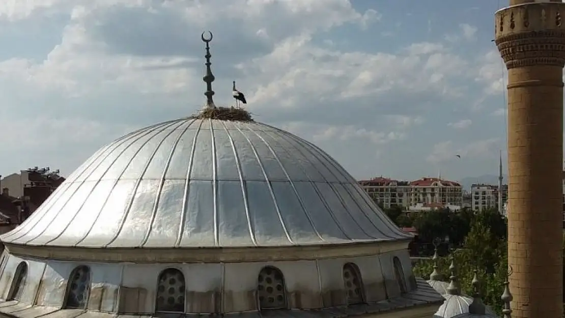 Konya'da cami kubbesindeki yuvasından düşen yavru leyleği itfaiye ekipleri kurtardı