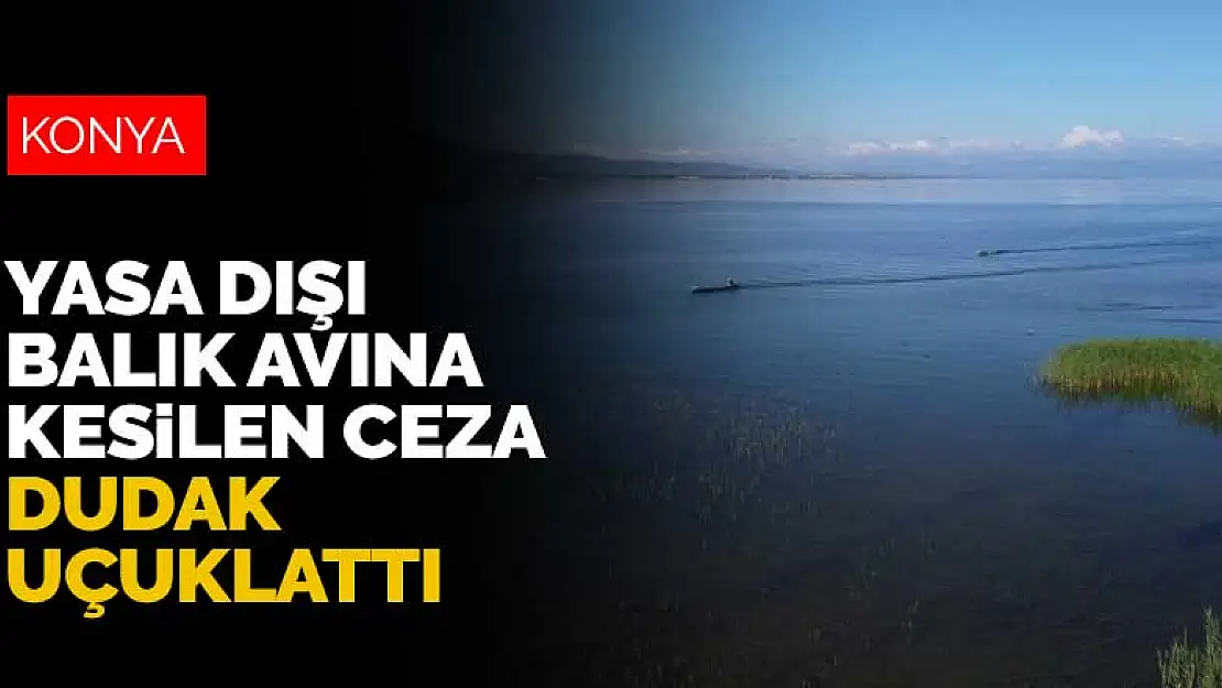 Beyşehir Gölü'nde yasa dışı balık avına 5 yılda 1,5 milyon liradan fazla ceza kesildi